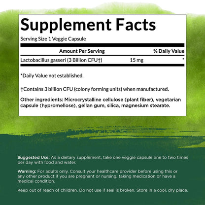 Lactobacillus Gasseri - Probiotic Supplement Supporting Digestive Health with 3 Billion CFU - Design-Release Satiety & Fat Metabolism Support - (60 Veggie Capsules)