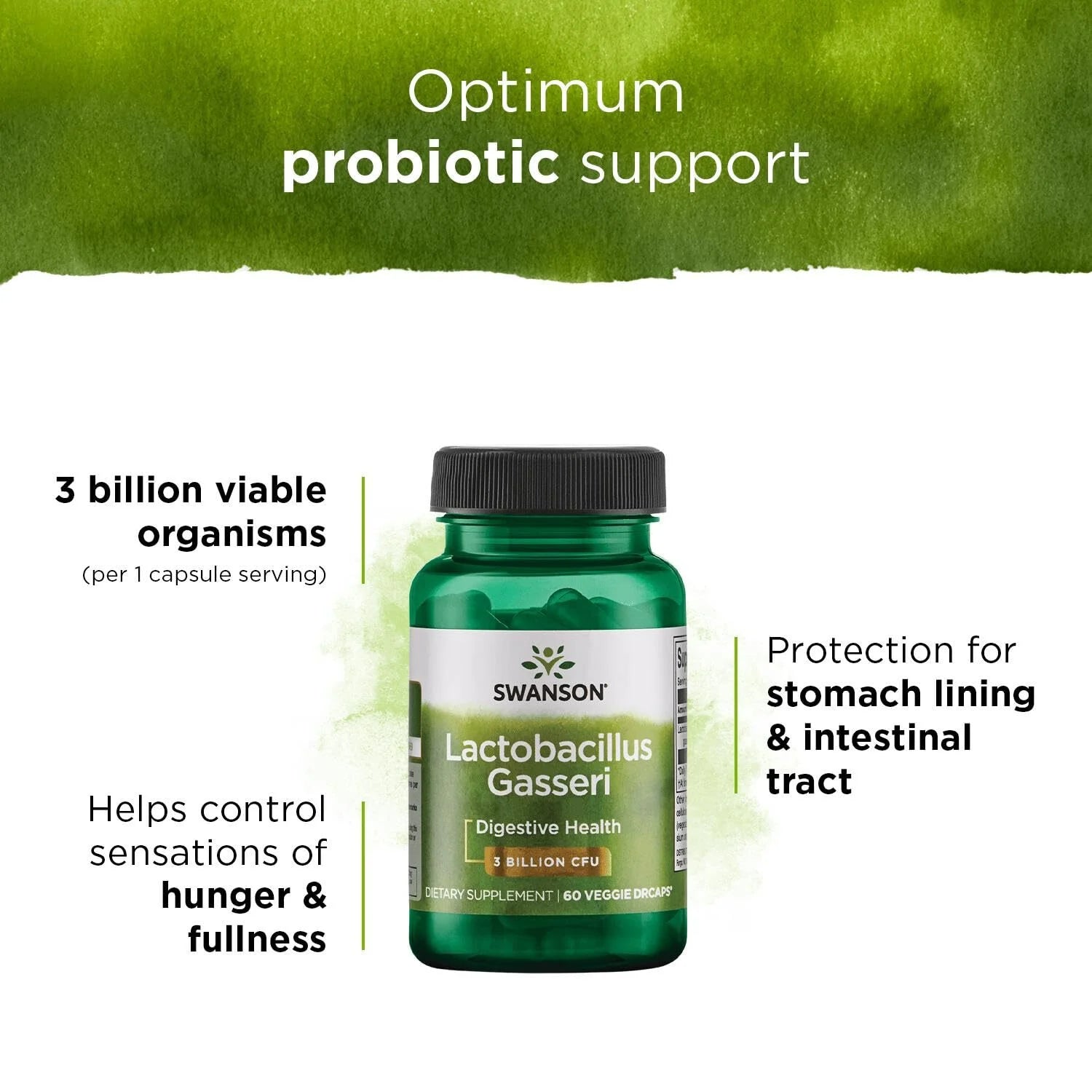 Lactobacillus Gasseri - Probiotic Supplement Supporting Digestive Health with 3 Billion CFU - Design-Release Satiety & Fat Metabolism Support - (60 Veggie Capsules)